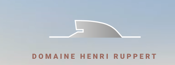 Billet BBQ Domaine Henri Ruppert ( Non Membre UDSL) 11 juillet